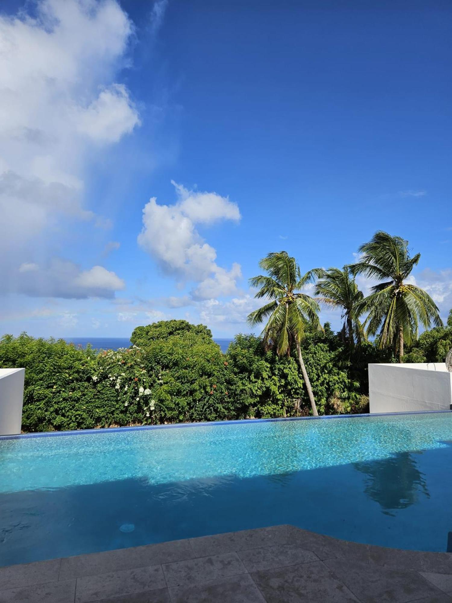 Purple Haze - Infinity Pool Holiday Home Minutes From The Island'S Best Beaches Saint James Kültér fotó